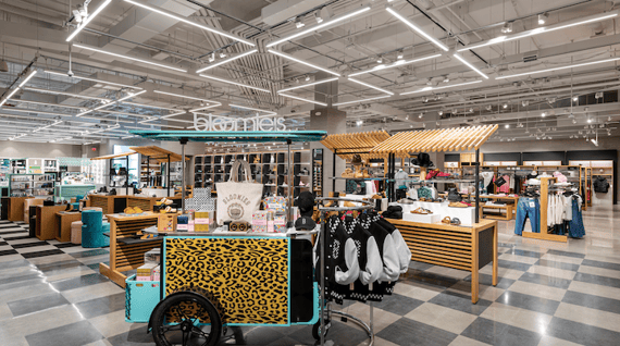 Bloomingdale s Customer Profile A Case Study in Audience Insights